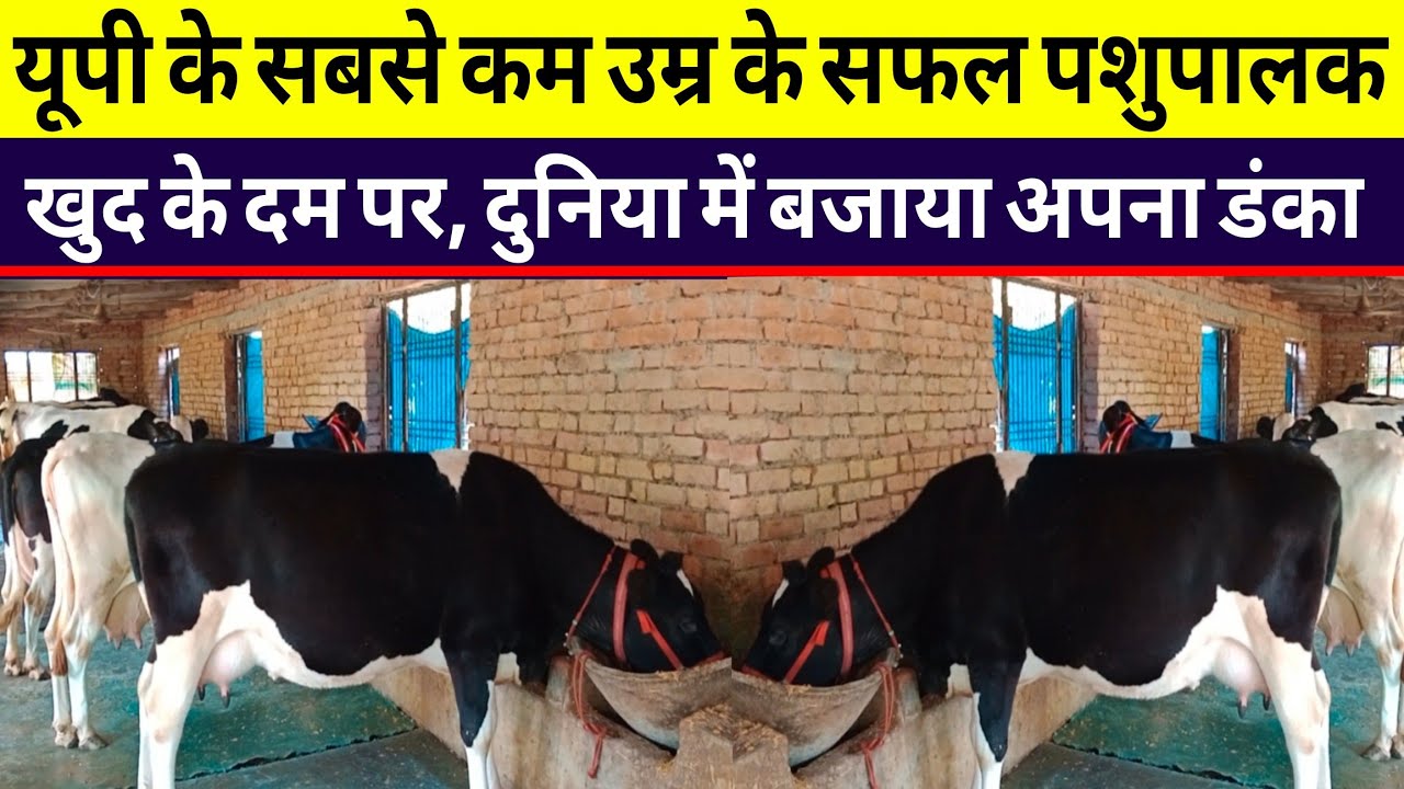 सफल युवा पशुपालक ने डेरी से कमाने का ट्रिक बताया/dairy farm salempur deoria/dairy farm up 2024 ||