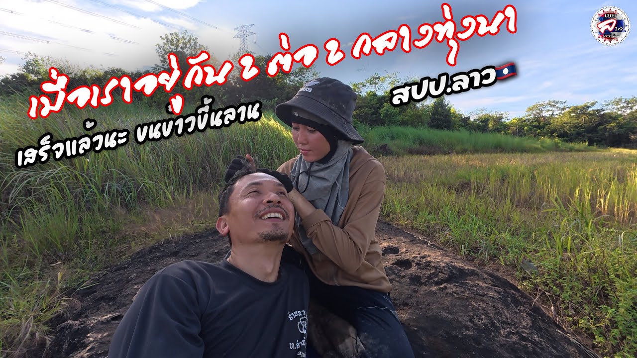 สวีทกับสาวลาวกลางทุ่งนาขนข้าวขึ้นลาน เสร็จแล้ว l เกี่ยวข้าวนาสาวลาว l เขยลาว 🇹🇭♥️🇱🇦