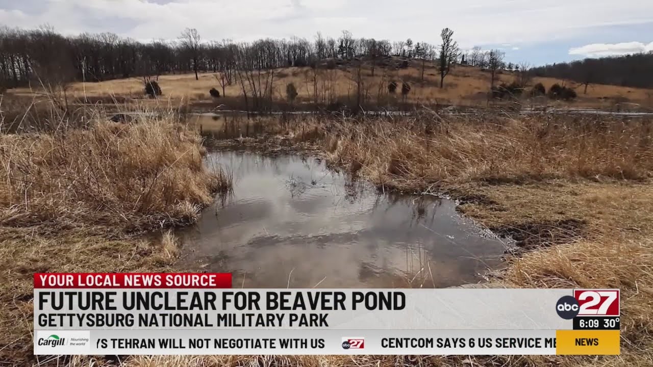 Preserving Gettysburg could mean the destruction of a beaver dam