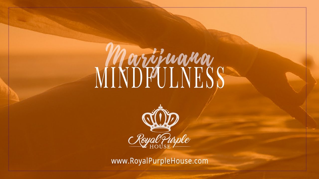 Guided Meditation: MjM #1 - Intro to Marijuana Mindfulness Balanced Breath and Bud in your Blood