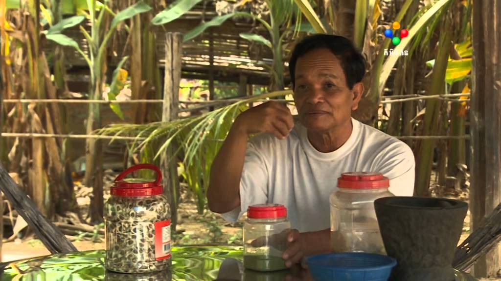 វេជ្ជបណ្ឌិតឆាយ ស៊ីផុន​ផ្ដល់បទសម្ភាសន៍ស្ដីពីអត្ថប្រយោជន៍នៃម្រុម
