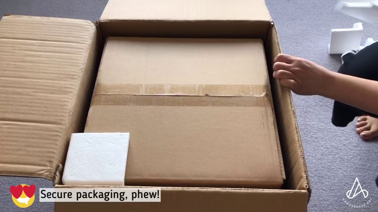 Unboxing: Nano Cube Rimless Aquarium