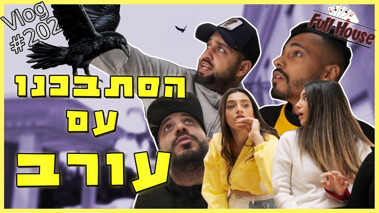 מה קרה אחרי שמאור זרק אבן על עורב והוא חזר לנקום בו?