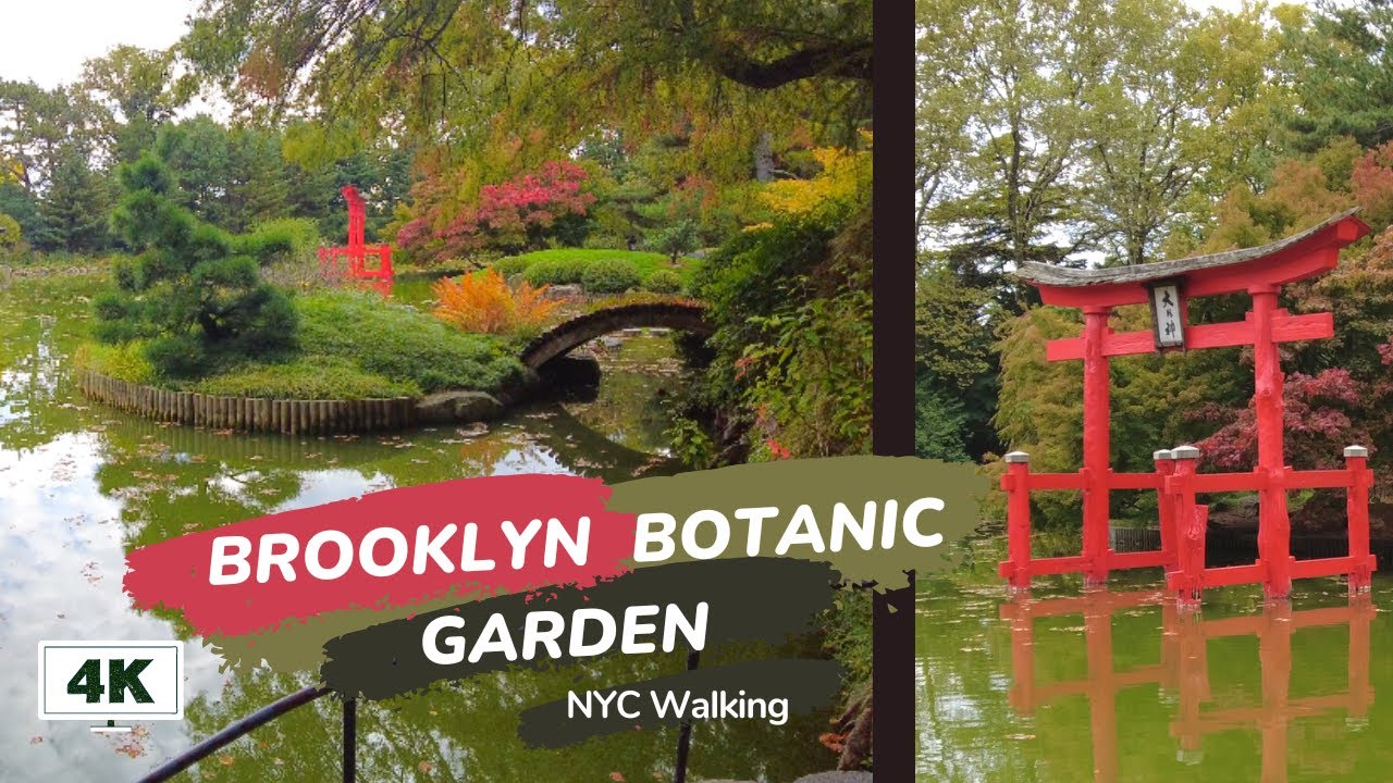 4K NYC Walking - Brooklyn Botanic Garden - The Japanese Garden And More