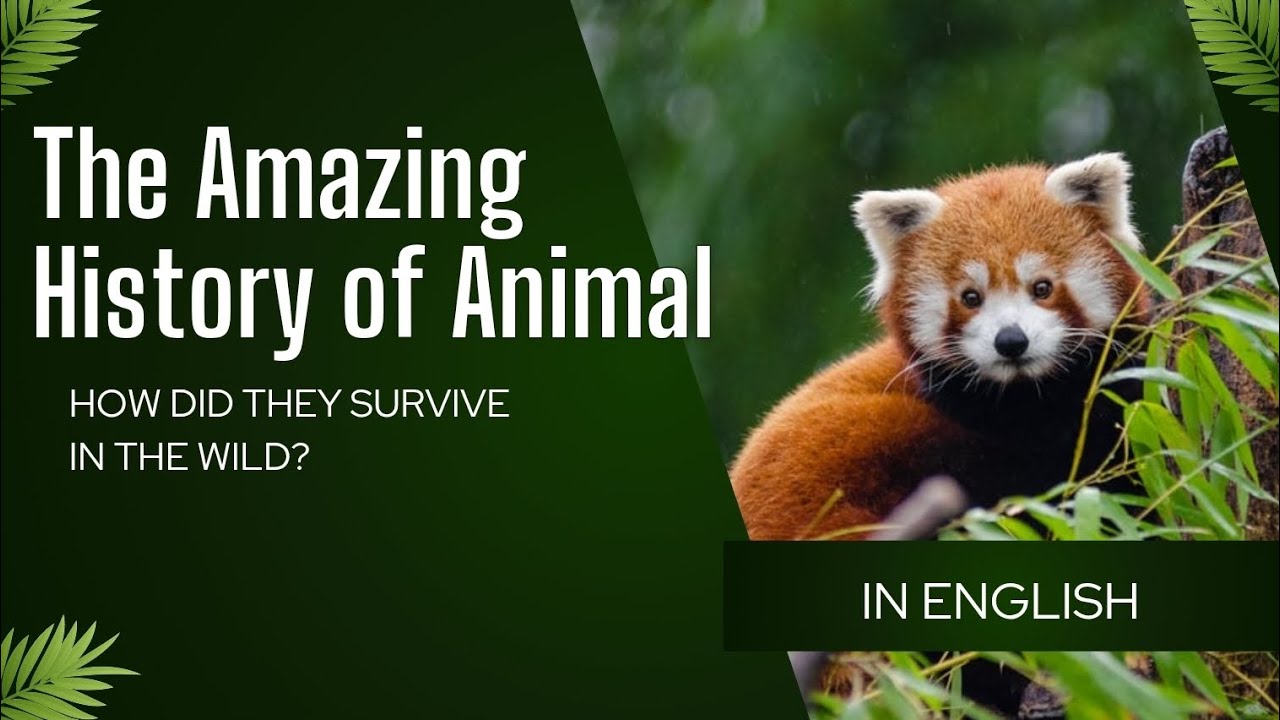 The Amazing History of Animal Domestication