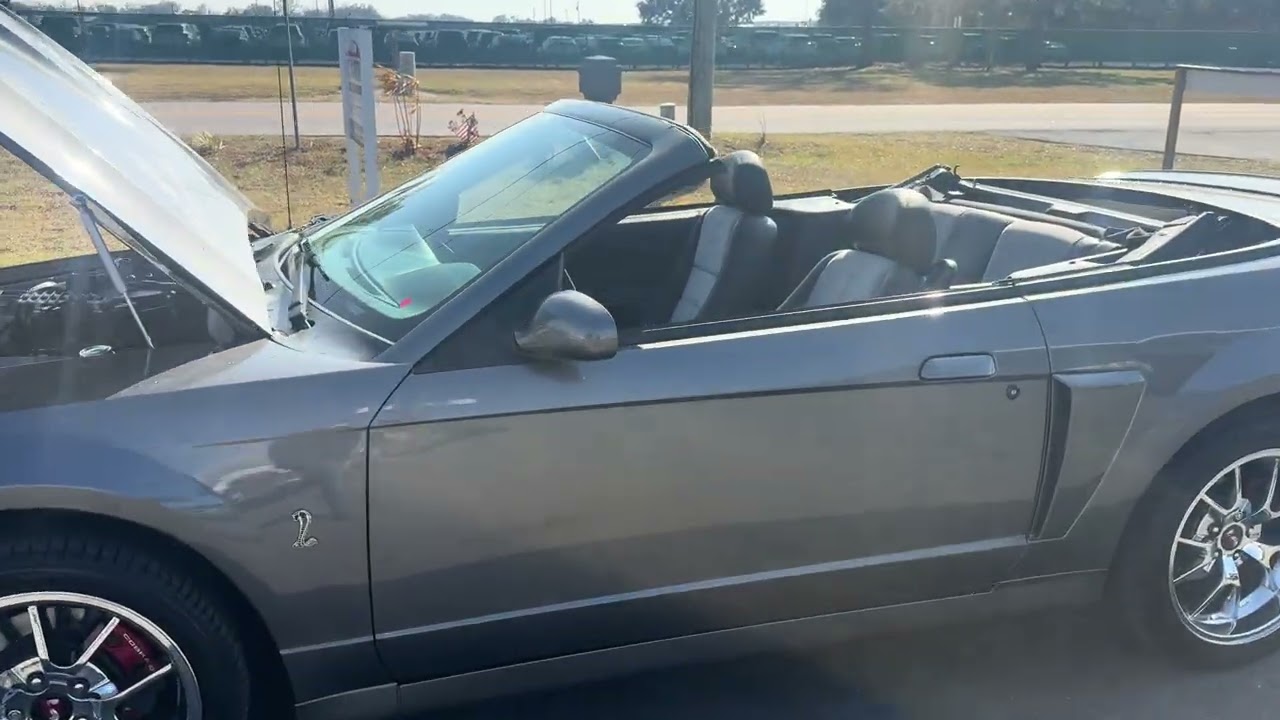 2003 Ford Mustang SVT Cobra 399673