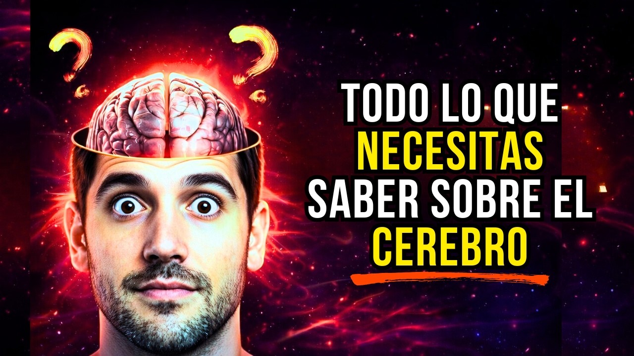 Los Secretos del Cerebro Humano Explicados | Para Dormir