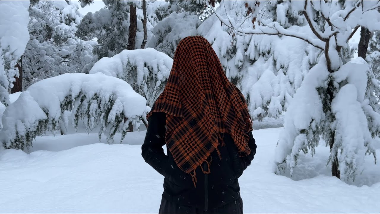Fella Graciella - შავი გოგო  (Music Video)