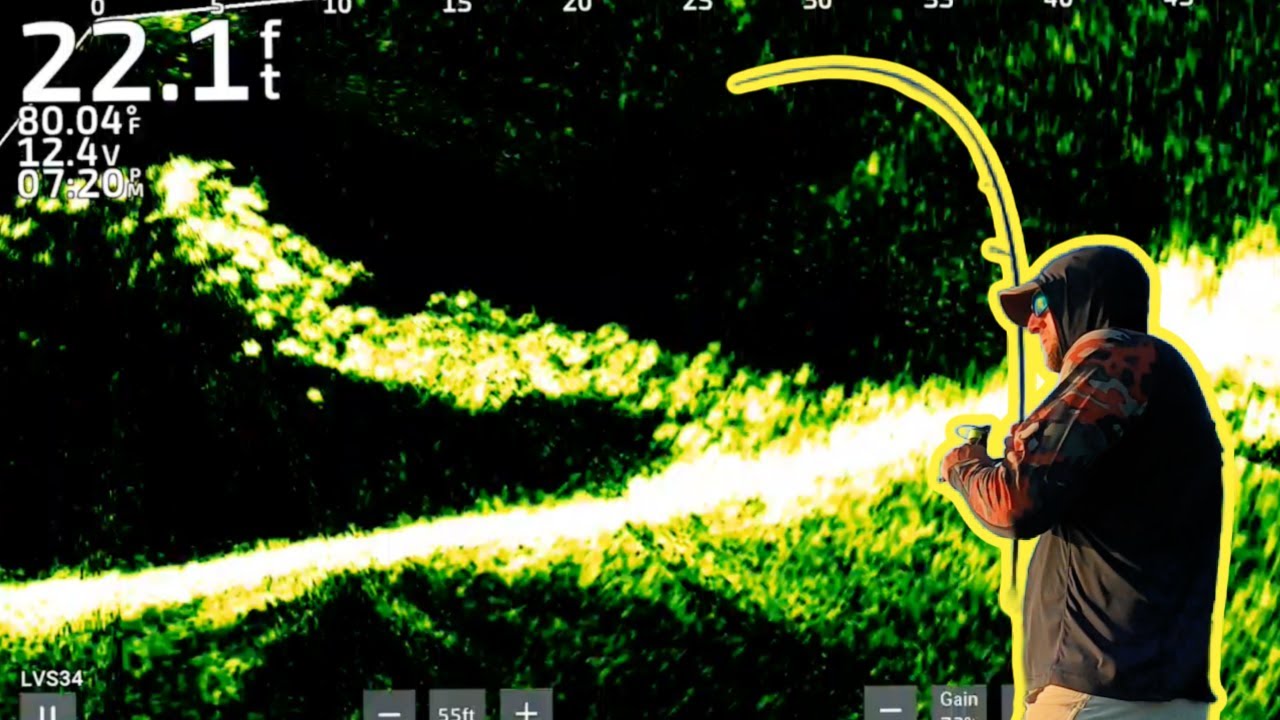Searching For Schools of BIG Fish on a NEW Lake with LIVESCOPE!