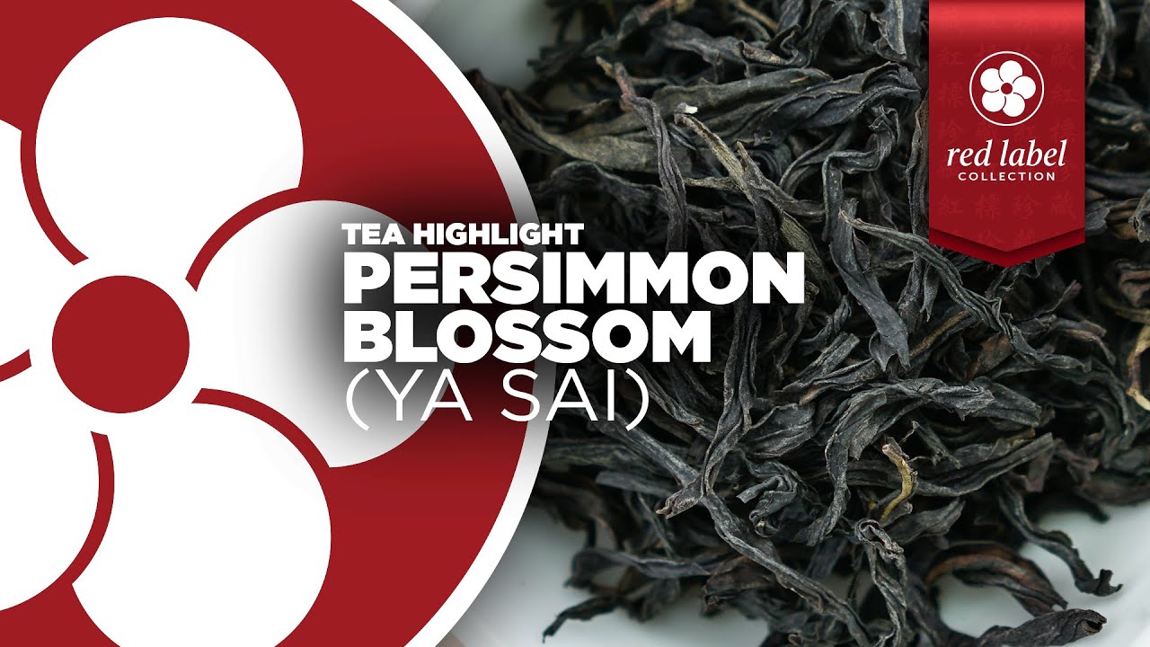 Persimmon Blossom (Ya Sai)