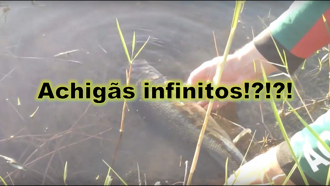 Achigãs infinitos - pesca ao achigã ao fim do dia