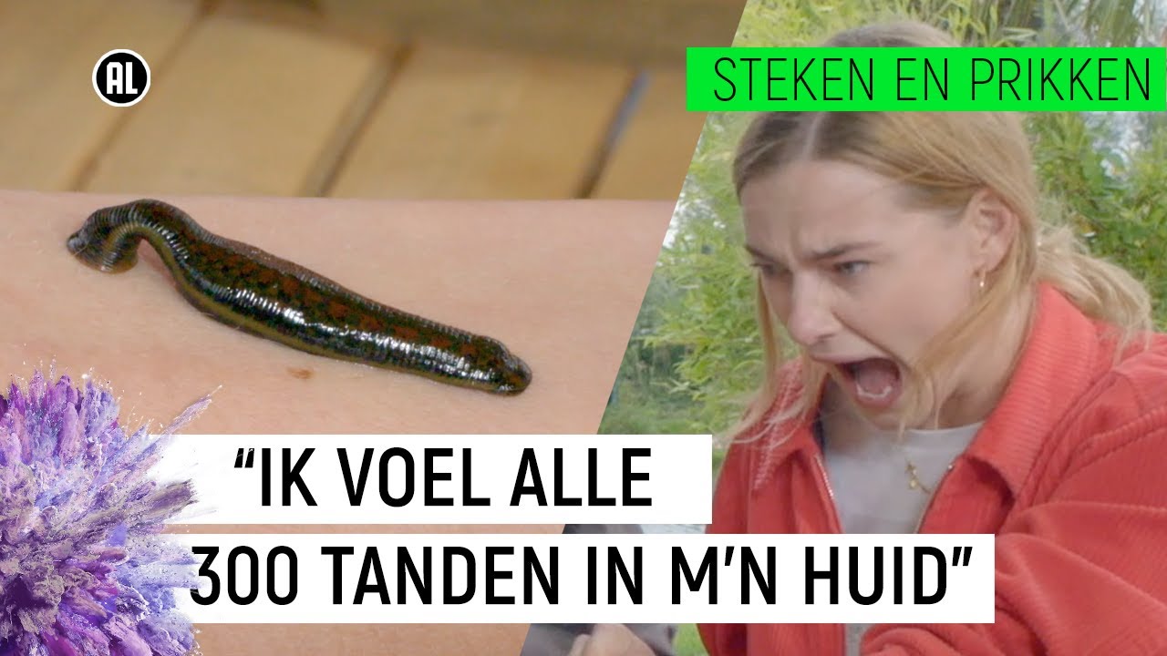 BLOEDZUIGER ZUIGT EMMA'S BLOED!  | Steken en Prikken S2 #1 | NPO Zapp