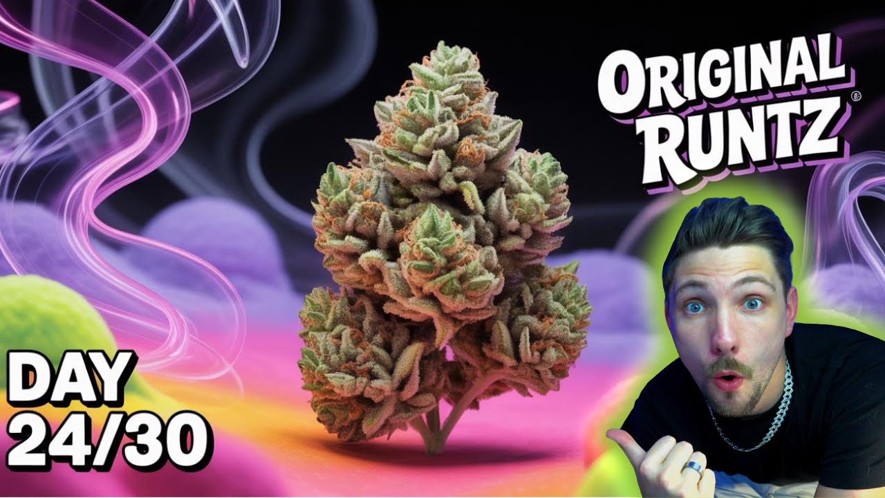 ORIGINAL RUNTZ Review (DAY 24/30) &mdash; The Strain That Took Over the Game?! 🚀
