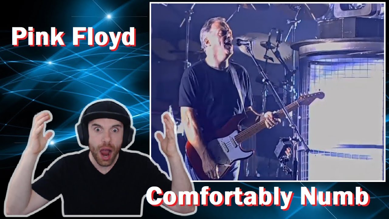 Pink Floyd | Comfortably Numb (First Time Seeing) Reaction