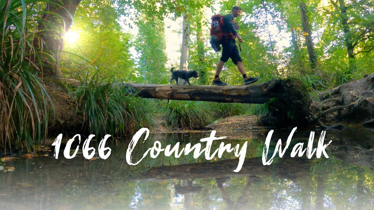 Hiking the 1066 Country walk trail with Woody the dog 🐕