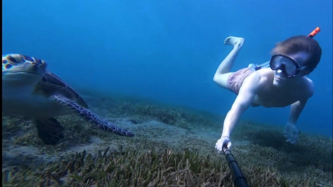 SEARCHING FOR TURTLES IN GUADELOUPE