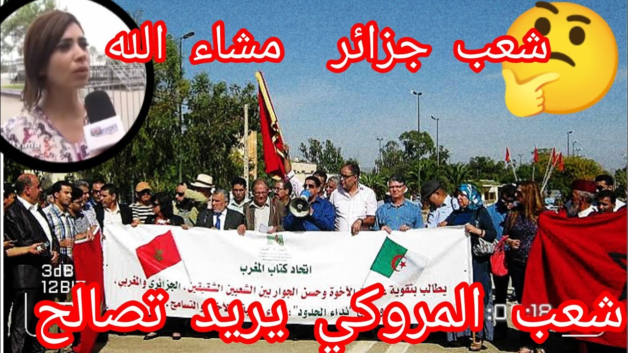 اغرب تصريحات شعب المغربي 🇲🇦 حنا نحبو شعب الجزائري 🇩🇿🤔نريد فتح الحدود 😱