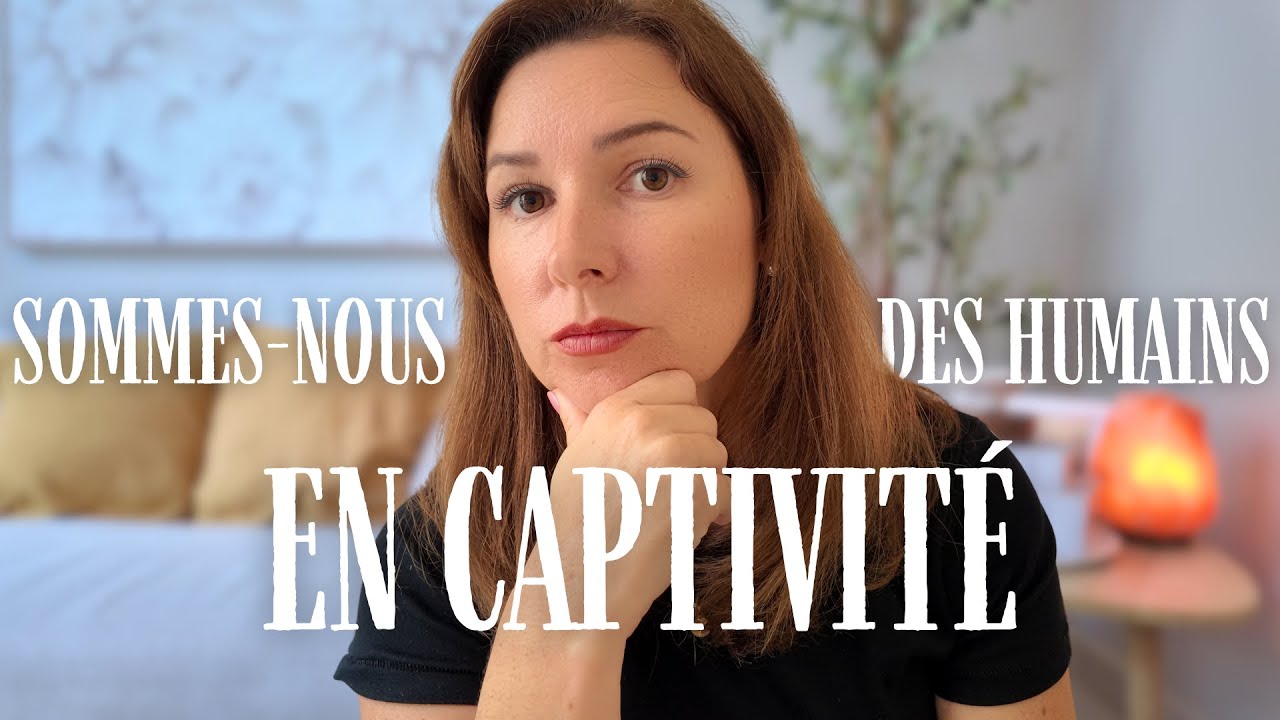 La société moderne nous rend fous… et voici pourquoi