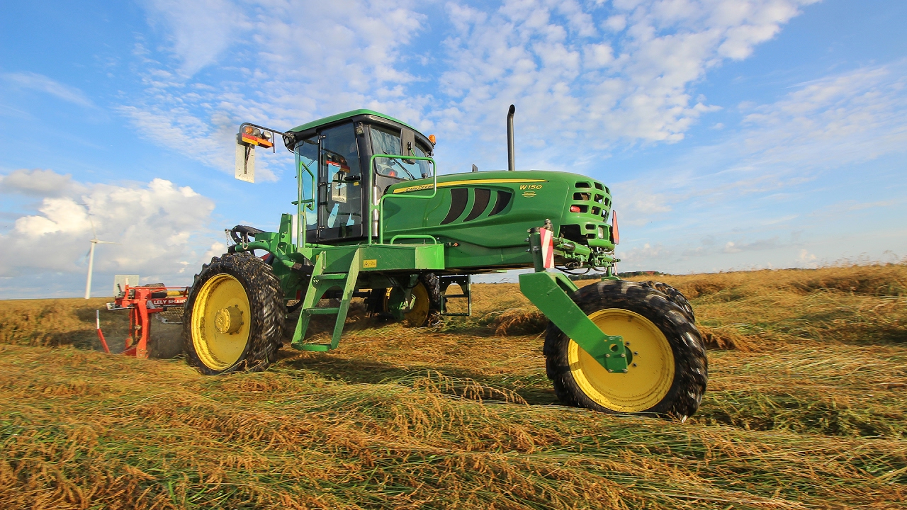 John Deere W150 Swather - Mowing grass seed - Gunter