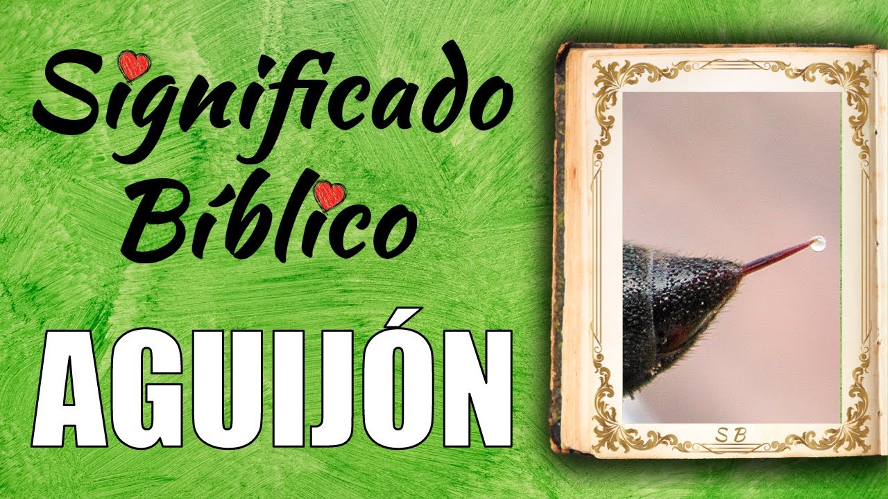 Aguijón Significado Bíblico | ¿Qué Significa el Nombre de Aguijón en la Biblia? 🙏