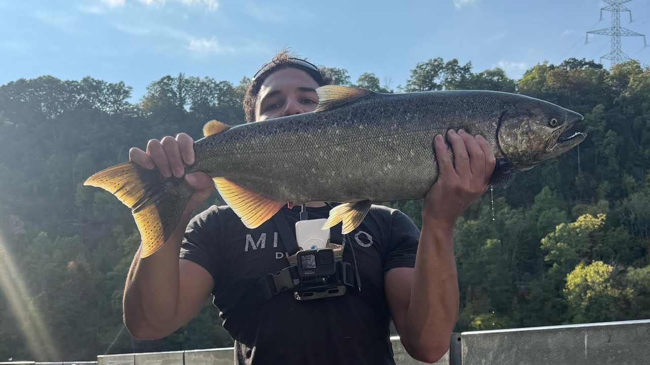 Mid-September Salmon Fishing Niagara River (3 Days) (Bunch of hook ups!) 