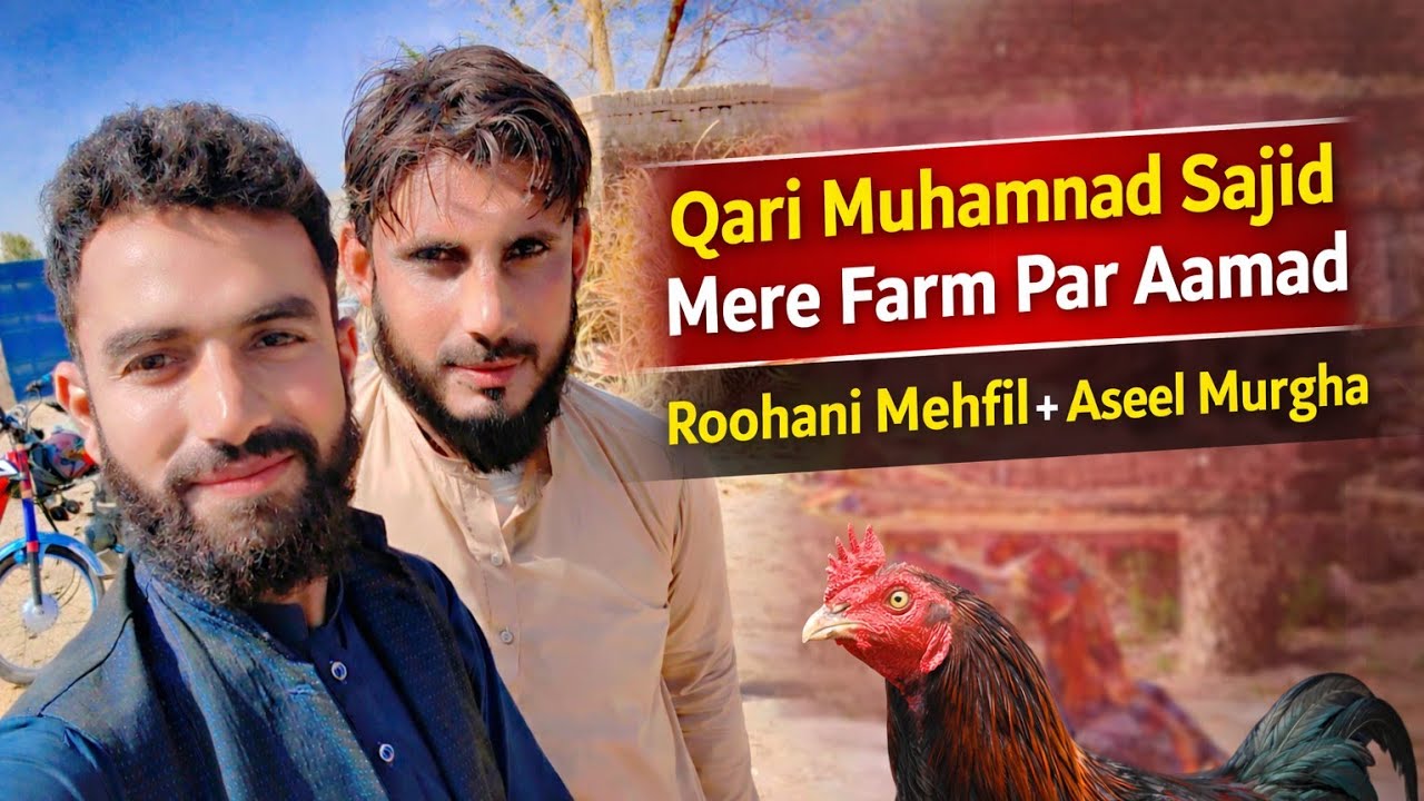 Qari Muhammad Sajid Ki Mere Farm Par Aamad | Roohani Mehfil & Aseel Farm Vlog
