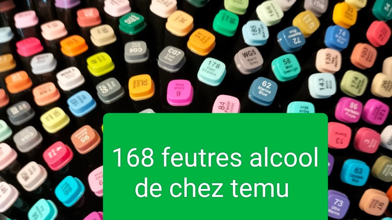 😱Je test les feutres a alcool #temu 168 feutres pour 26 euros 💶😱colo avec vous