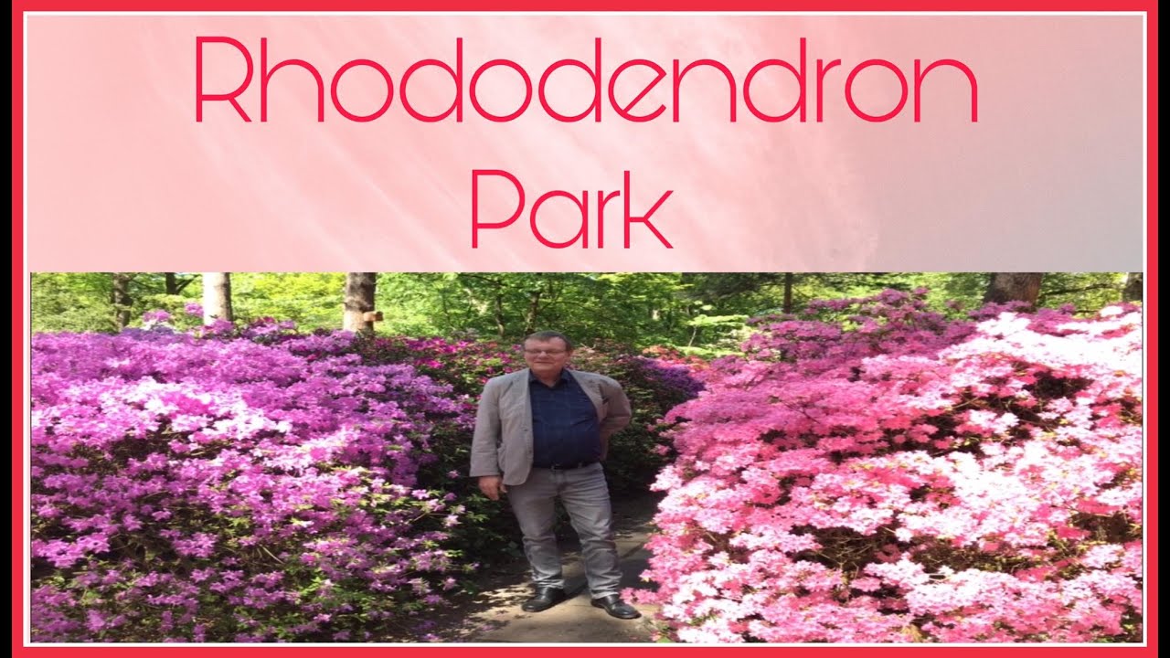 RHODODENDRON PARK-- BREMEN GERMANY