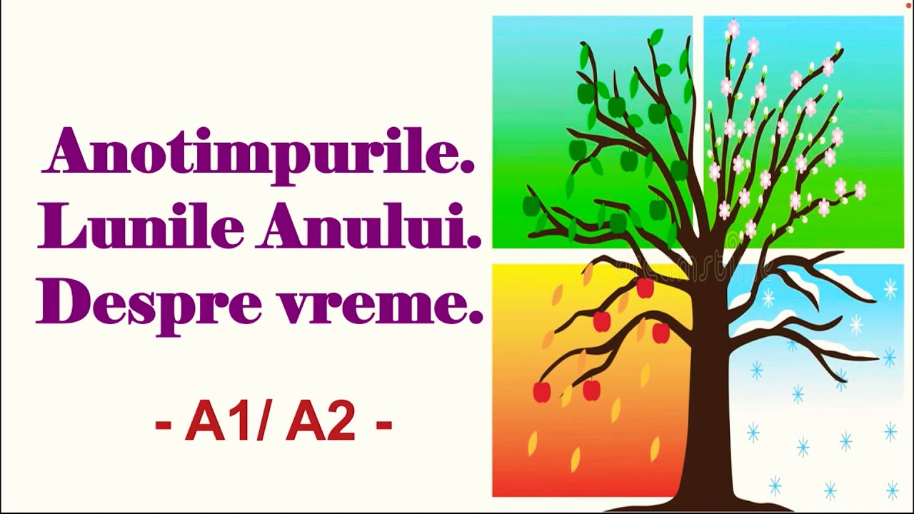 Anotimpurile. Lunile anului. Cum este vremea? A1/A2