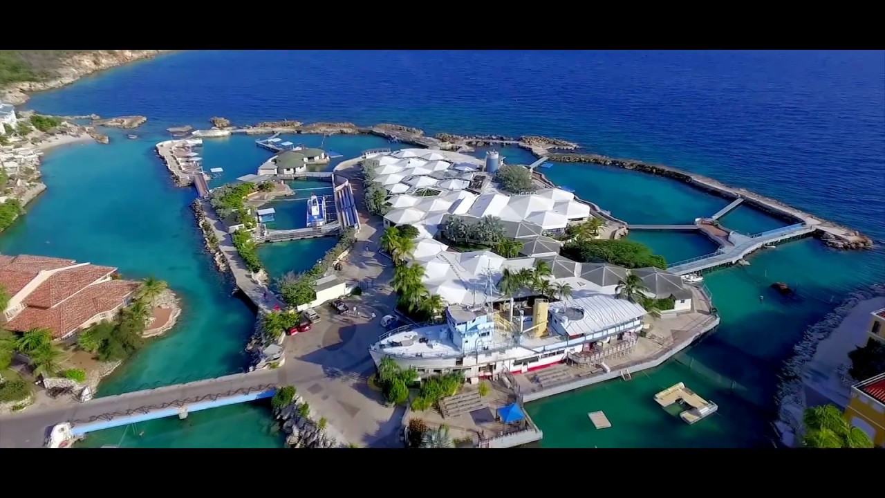 D-level Design @ mambo beach Curadise