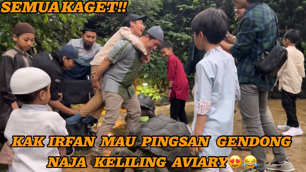 MAIN KE AVIARY || NAJA & ZAKI KAGET KAKINYA DICIUM KURA KURA😍