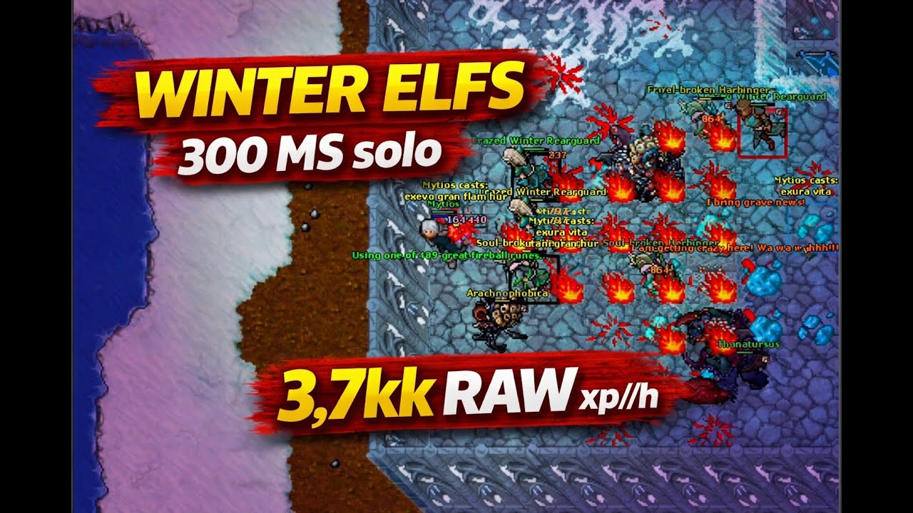 MS 300 SOLO WINTER COURT 3,7kk RAW