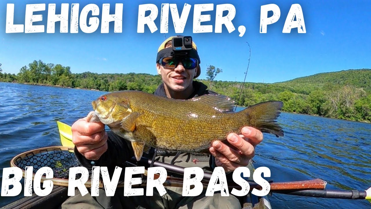 Lehigh River BASS Fishing (Topwater Action)
