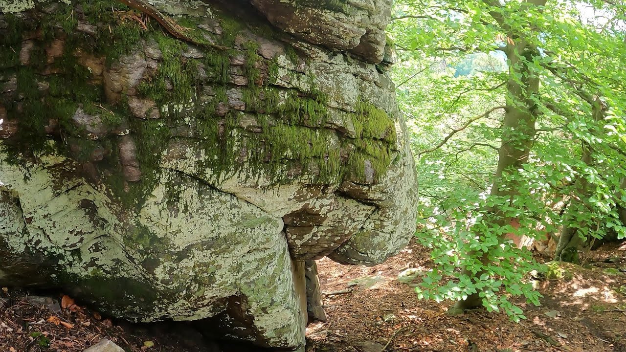 Stoasteig - (Oberkienstock (NÖ) - Narrenturm -  Kienstockspitze - Seekopf - Hirschwand - Sonnstein)