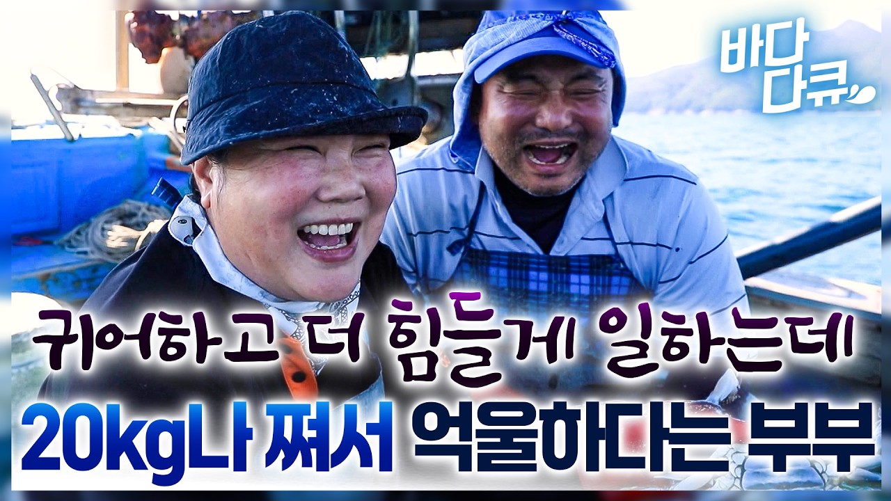 낚시를 좋아해 전국의 섬이란 섬은 다 찾아다니던 부부가 결국 어부가 되기로 결정했다!/ #바다다큐