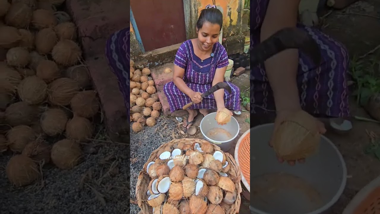 മഴക്കാലത്തേക്കുള്ള തയ്യാറെടുപ്പ്🥰🥰🥰...
