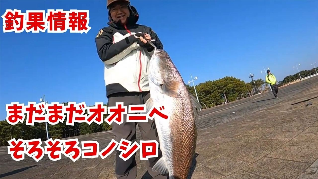 【釣果情報：オオニベ、コノシロ、タチウオ、カマス】2月11～13日の宮崎港