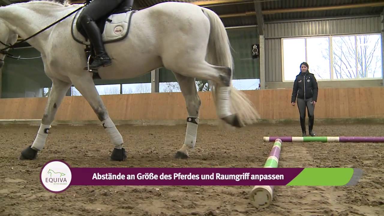 Stangen- und Cavalettiarbeit Teil 1 - Übungen für den Schritt (Anfänger)