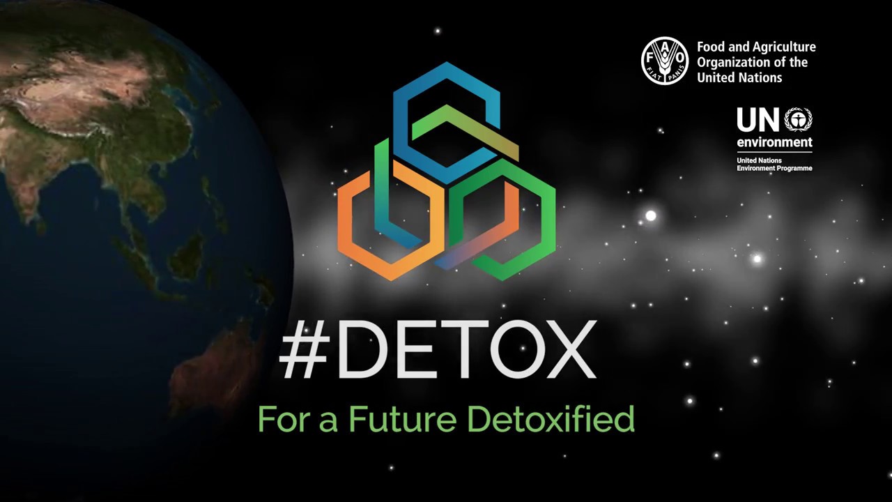 Introduction to the 2017 Rotterdam Convention COP: for a future detoxified #detox