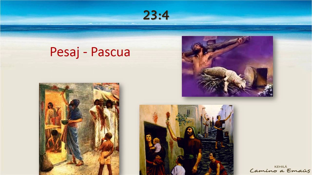 Levítico 23:4-14