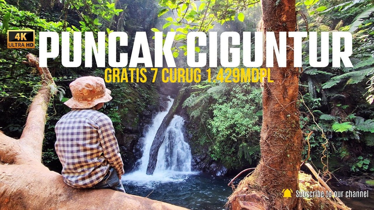 Puncak Ciguntur Sukamakmur 1.429mdpl