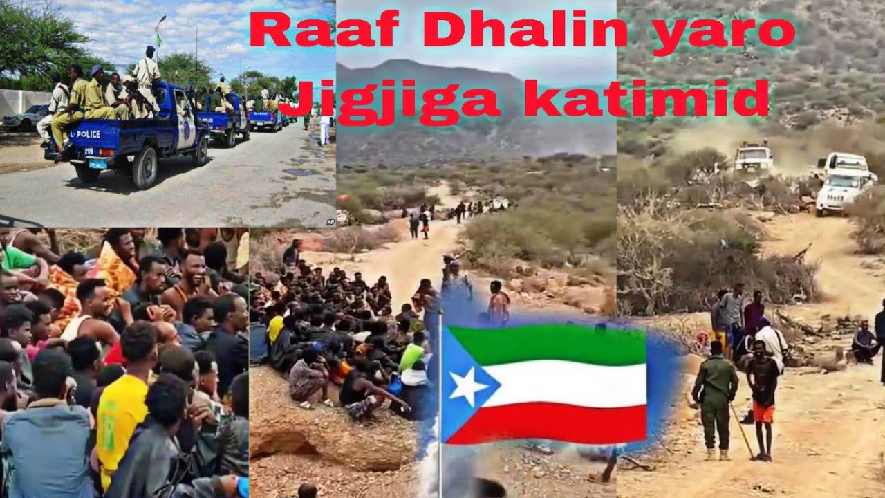 Tarxiil iyo Qaqabasho Kasocda Somalilnd Dhalin yaro katimid jigjiga. Oo Dahab Kaqodanaayay. Jirdil.