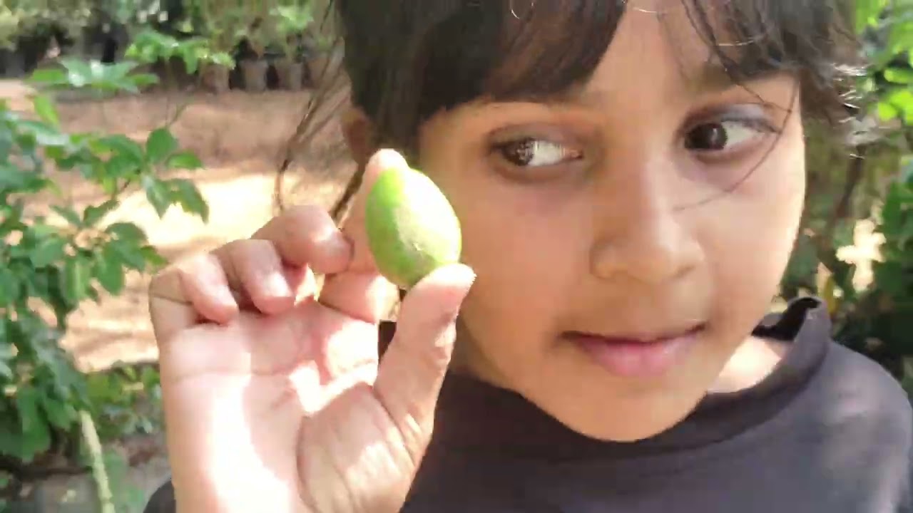 ഒരു ചെറിയ ഷോപ്പിംഗ്
