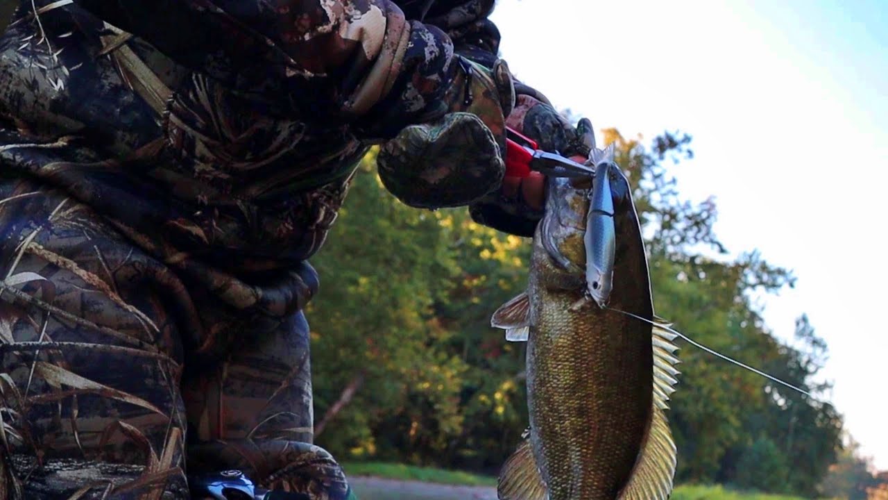 Fishing a $3 Glide Bait For River Smallmouth!
