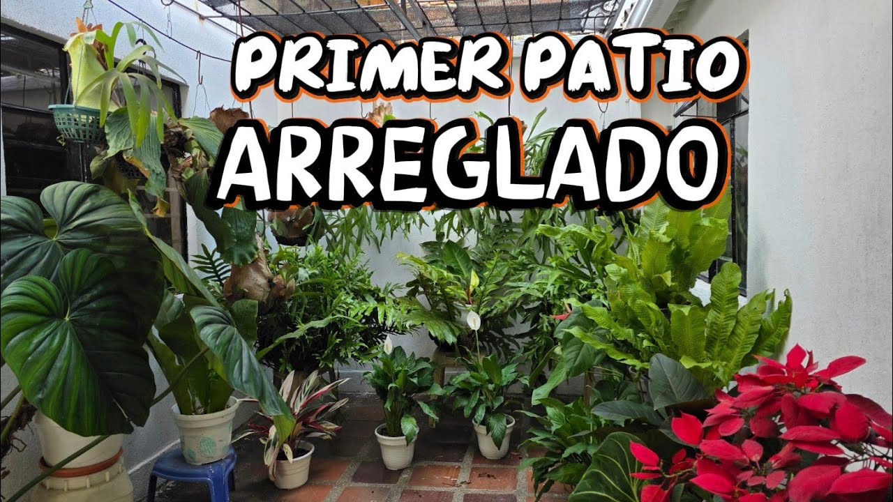 ARREGLANDO CON PLANTAS el primer Patio