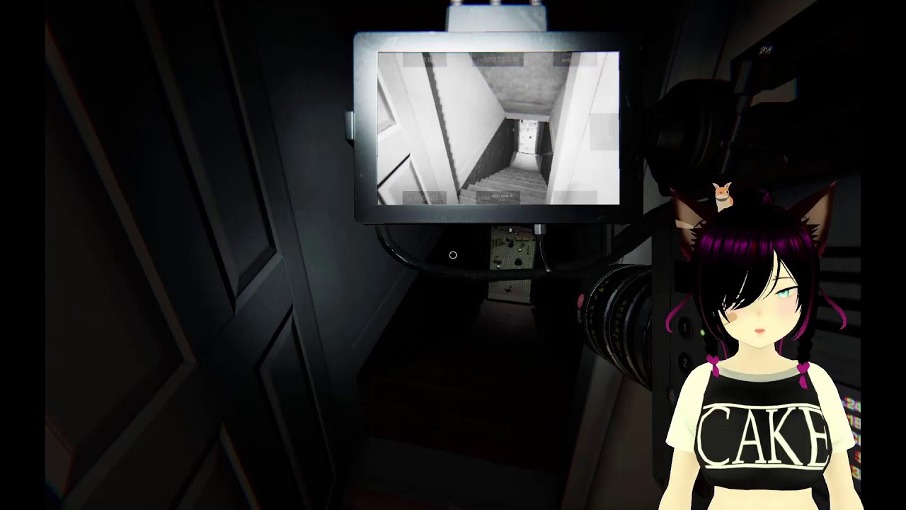 Lynxy: After Hours Live Stream Let's hunt ghosts!