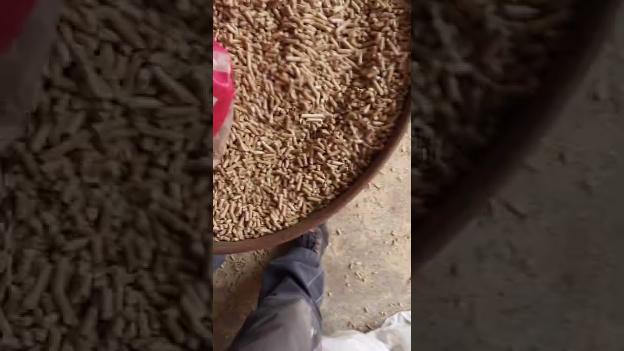 Pellets in den Bunker saugen, fast ohne Bruch und ohne Staub. Prototyp fertig💪🥳