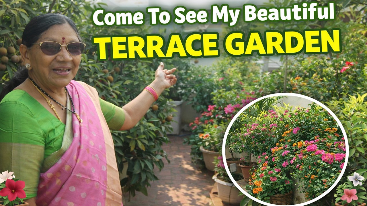 papayiamma gari beautiful terrace garden which consists all types#ctg