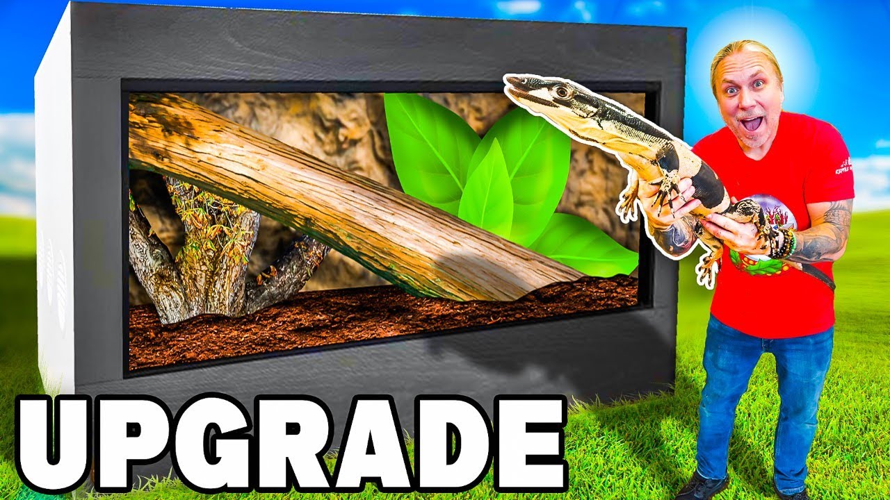 Huge Upgrade On My Giant Lizards Cage!