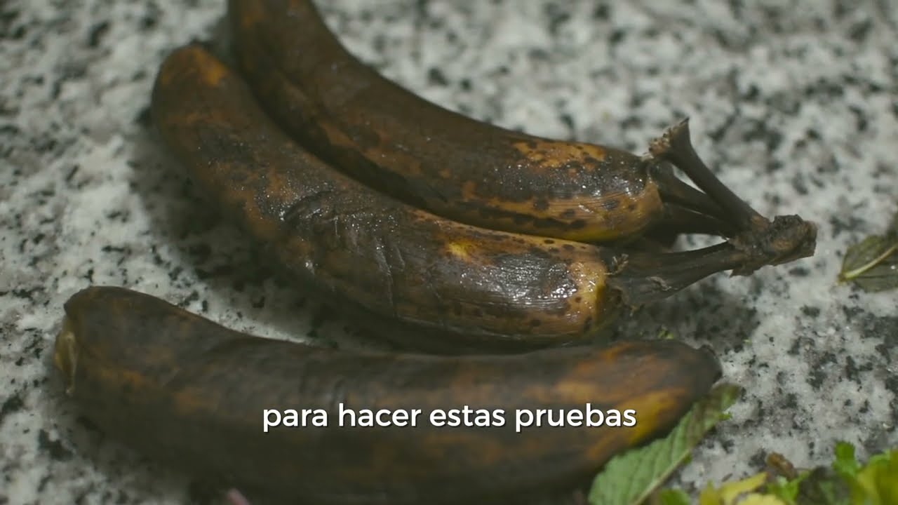 ¿Sabías que el desperdicio de alimentos afecta al medio ambiente y a tu economía?